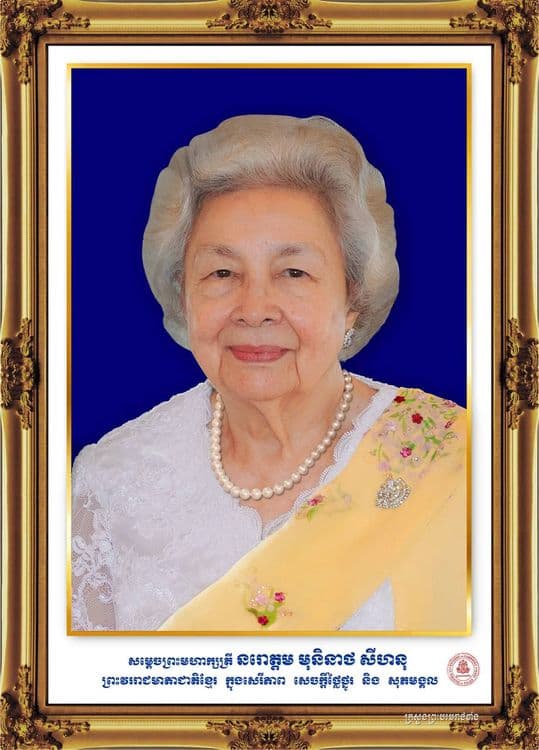 Picture of the author